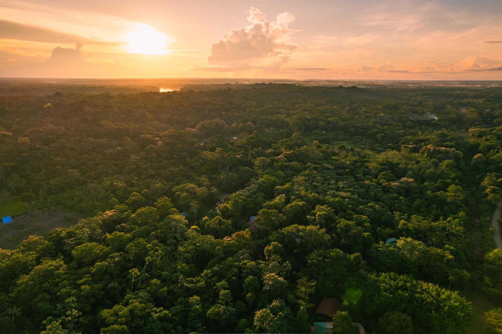 Passiflora Lodge Tambopata Puerto Maldonado Exteriör bild